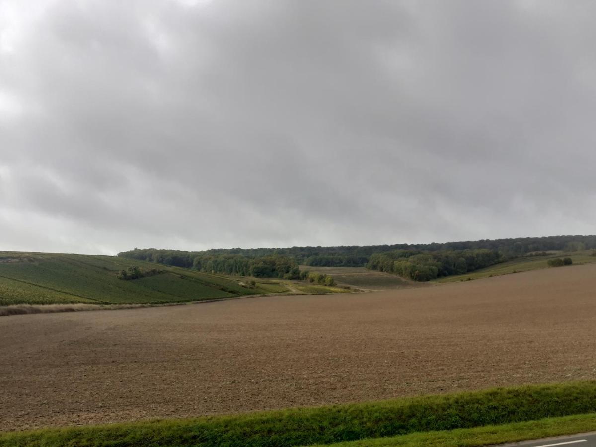Domaine-de-la-borde A Epernay * Mardeuil