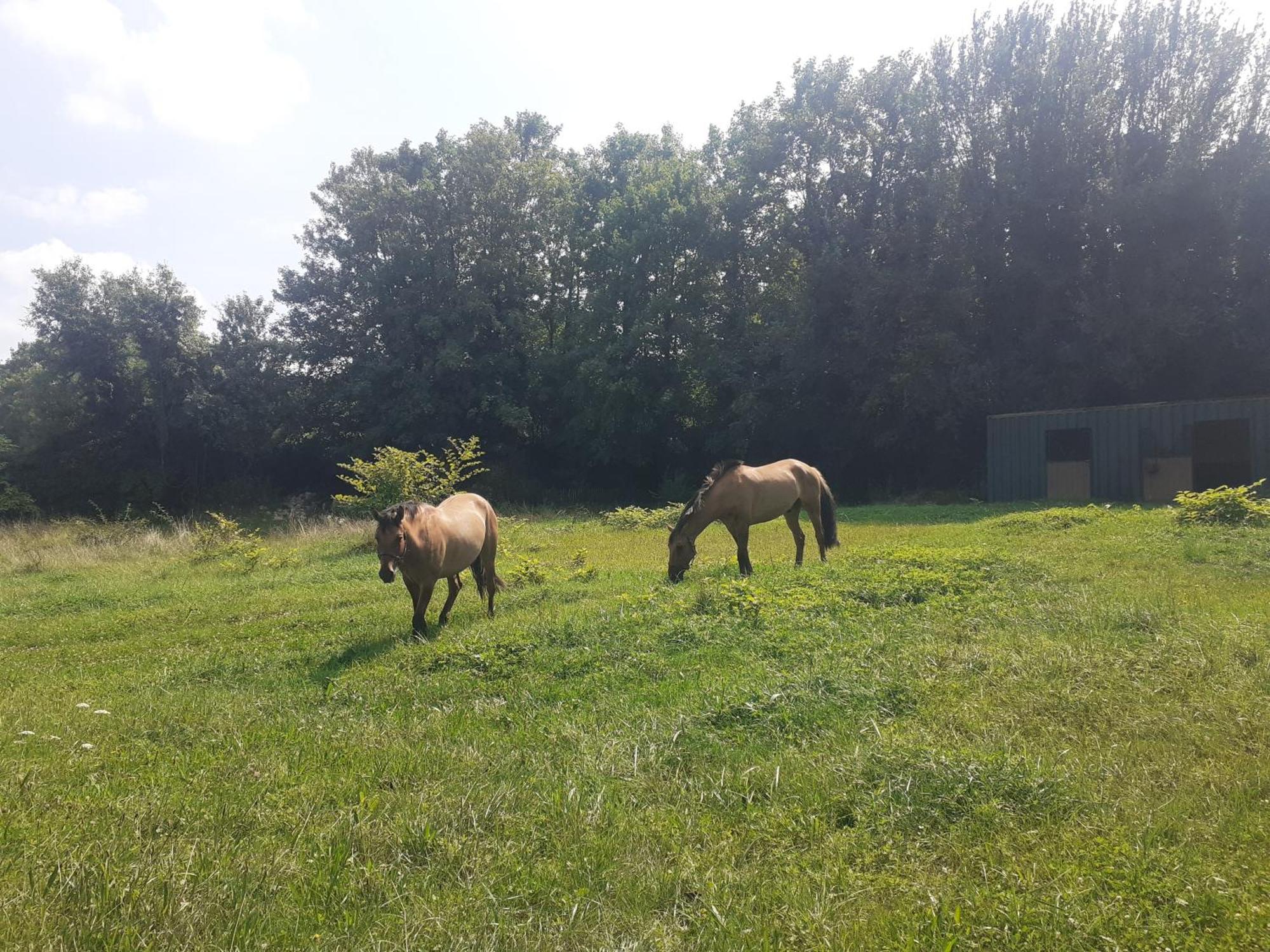 Domaine-de-la-borde A Epernay Bed & Breakfast *