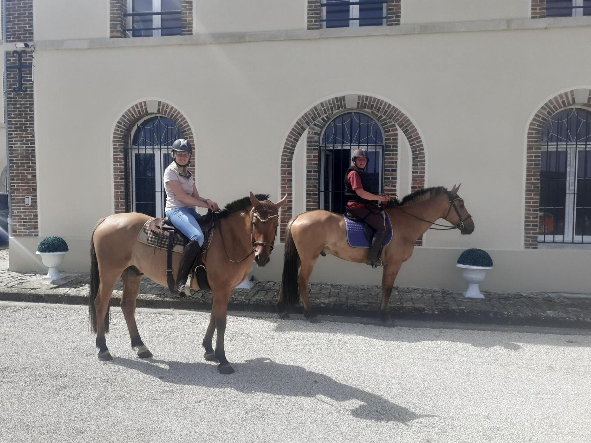 Bed & Breakfast Domaine-de-la-borde A Epernay *
